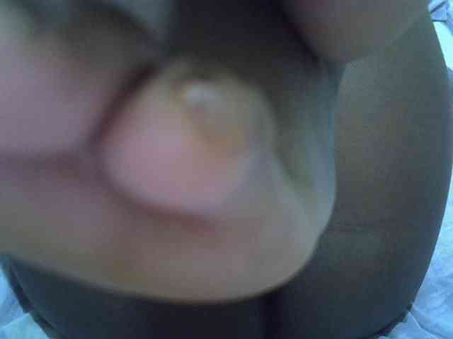 cudlecanvas webcam