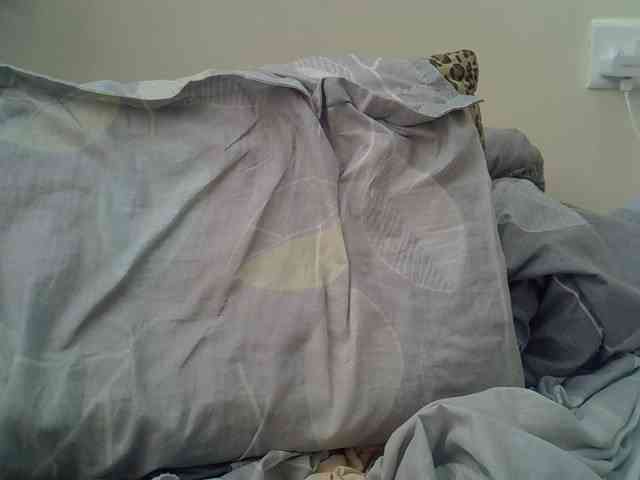 cudlecanvas webcam