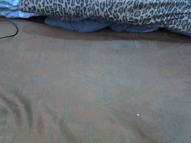 cudlecanvas webcam