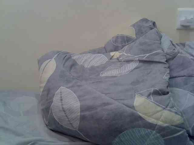 cudlecanvas webcam