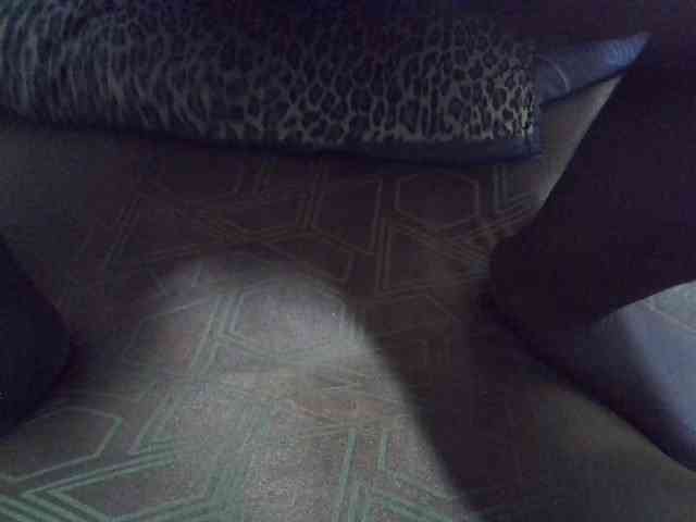 cudlecanvas webcam