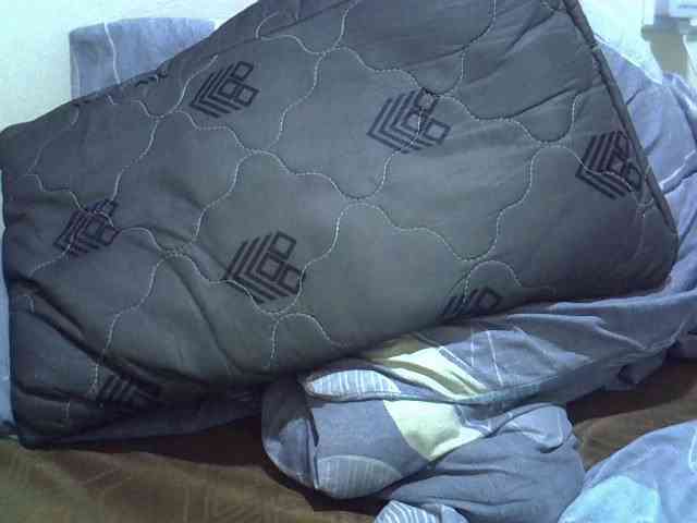 cudlecanvas webcam