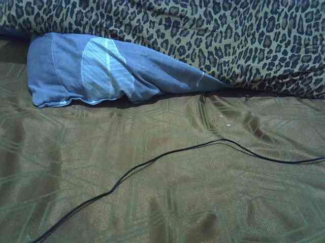 cudlecanvas webcam