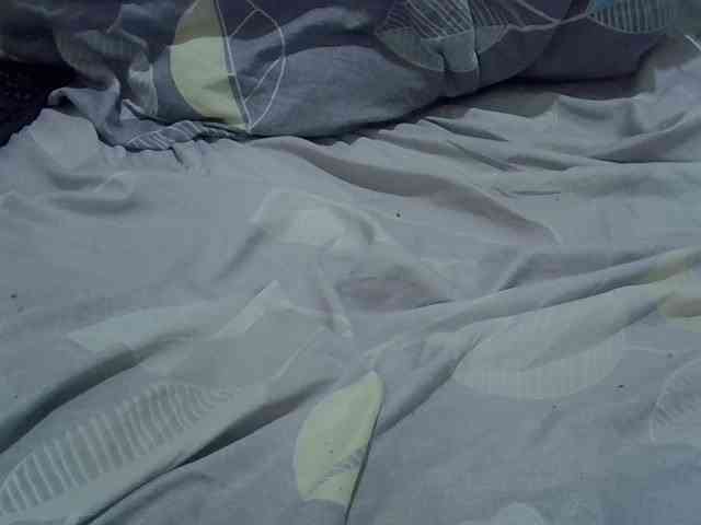 cudlecanvas webcam