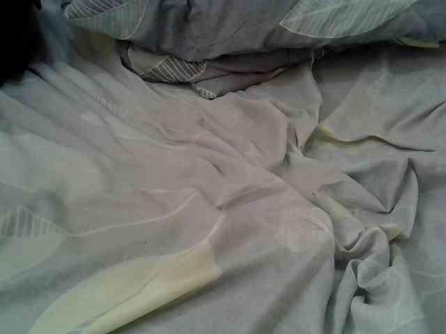 cudlecanvas webcam