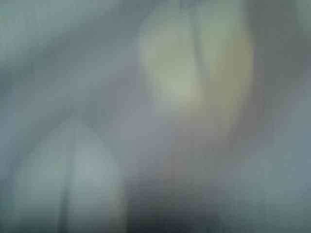 cudlecanvas webcam
