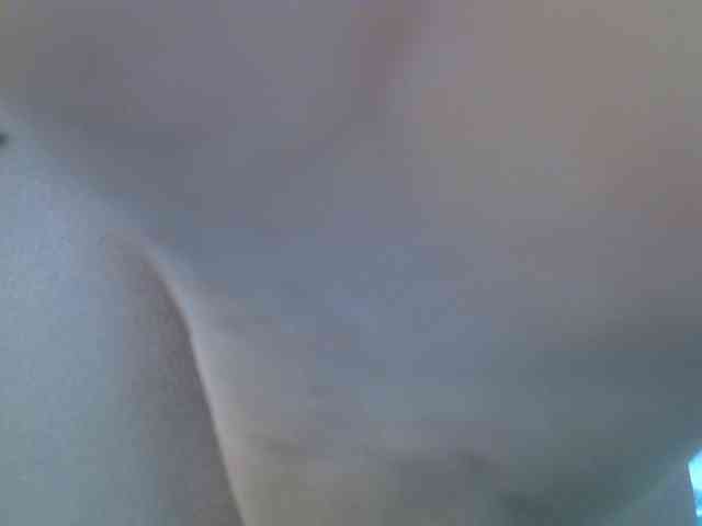 cudlecanvas webcam