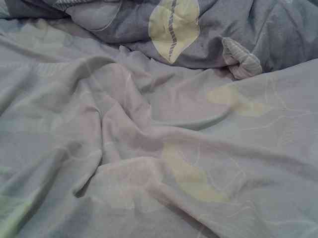 cudlecanvas webcam