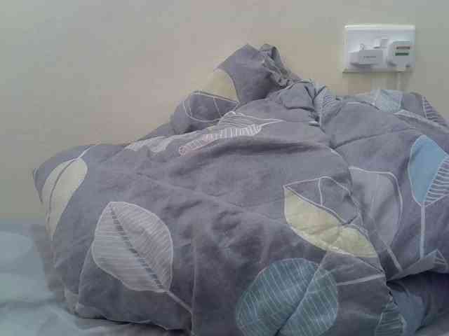 cudlecanvas webcam