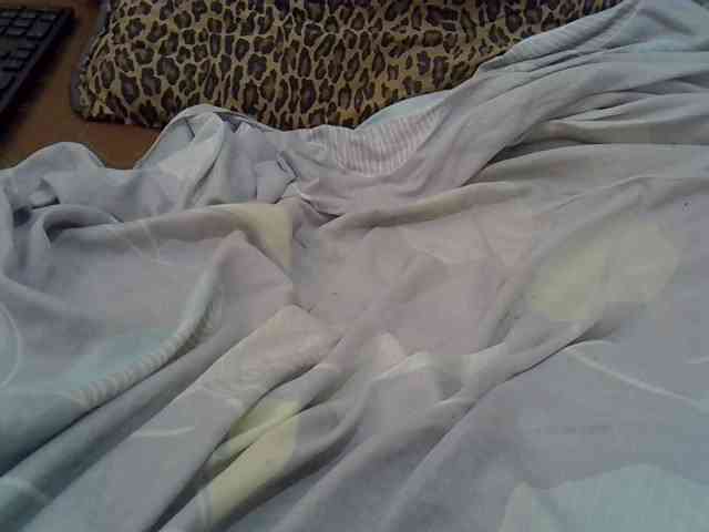 cudlecanvas webcam