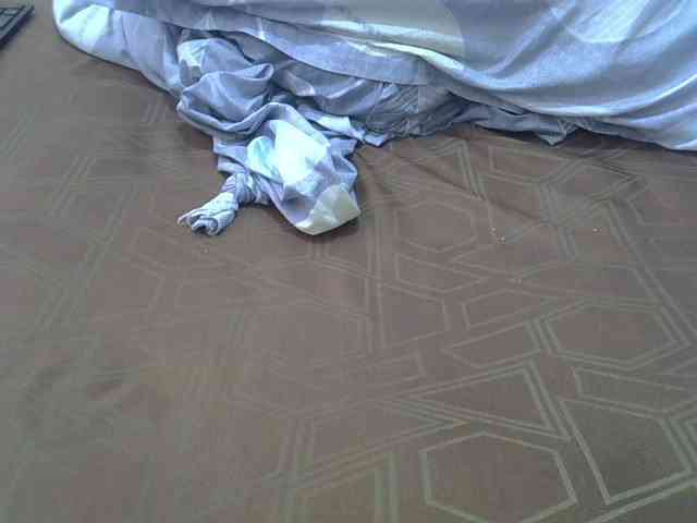 cudlecanvas webcam