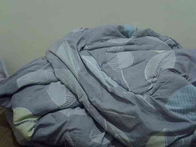 cudlecanvas webcam