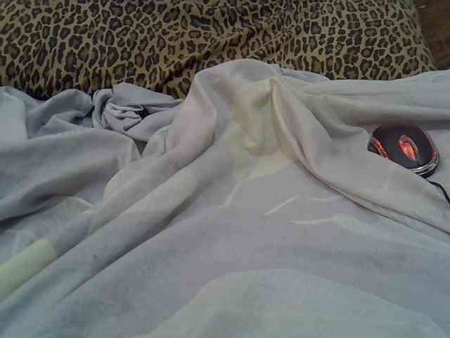 cudlecanvas webcam