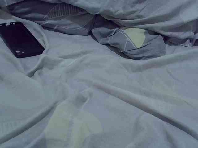 cudlecanvas webcam
