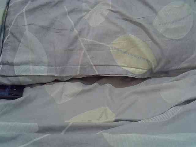 cudlecanvas webcam
