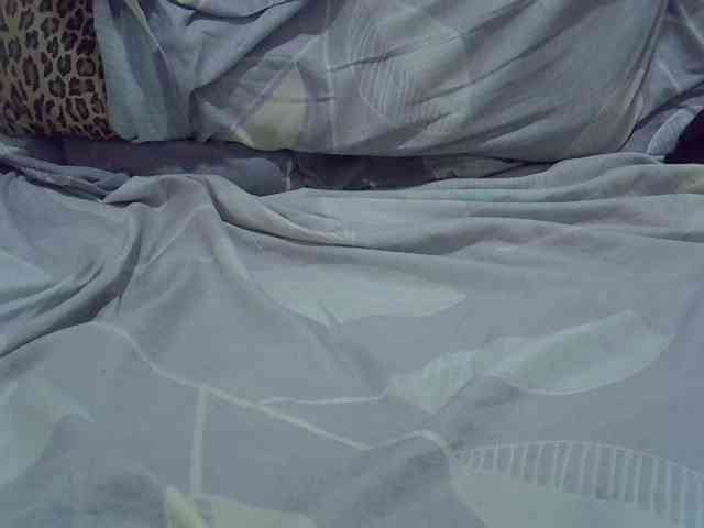 cudlecanvas webcam