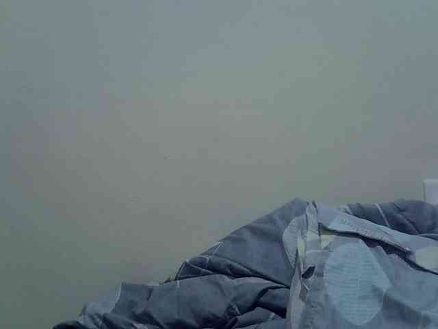 cudlecanvas webcam
