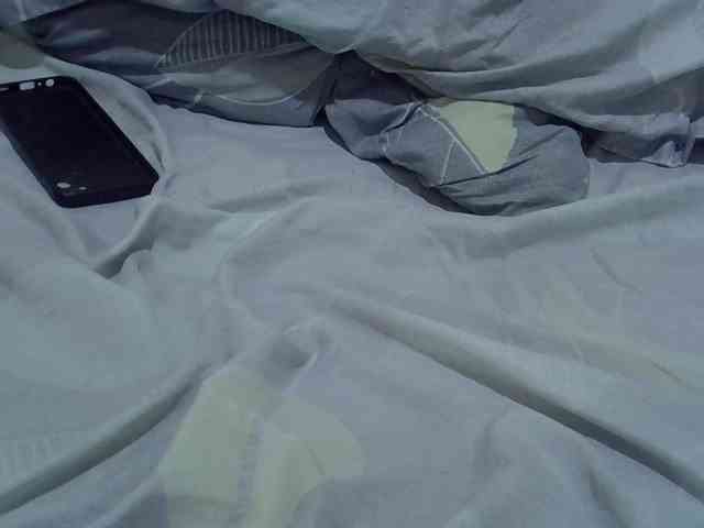 cudlecanvas webcam