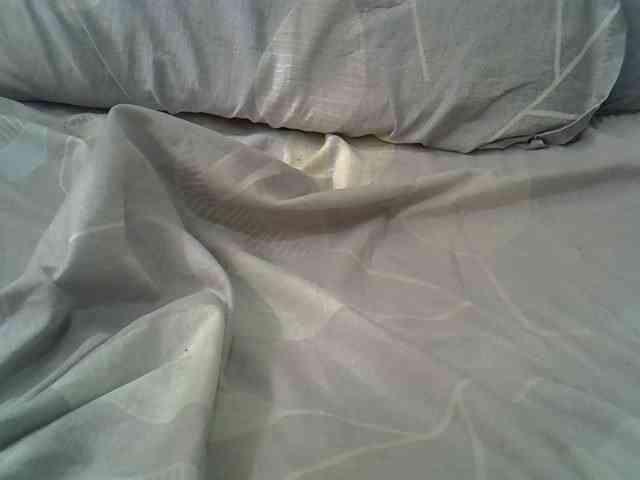 cudlecanvas webcam