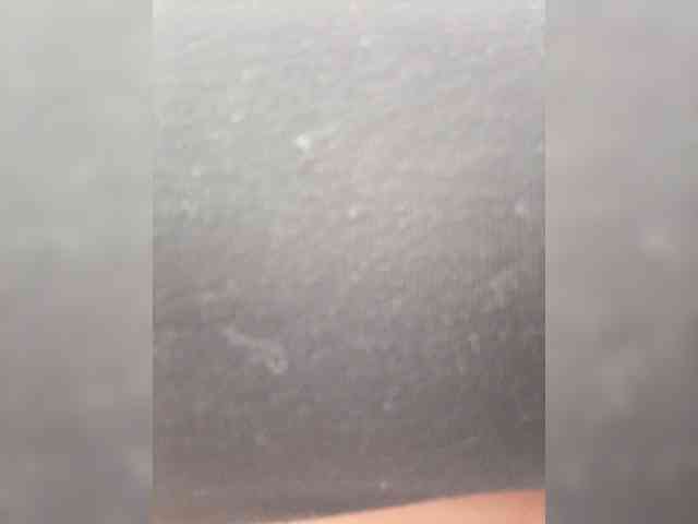 ZamaraSweet webcam