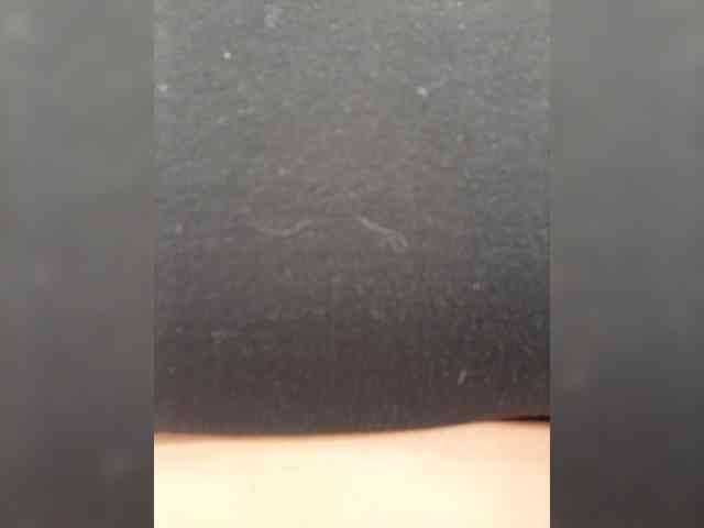 ZamaraSweet webcam