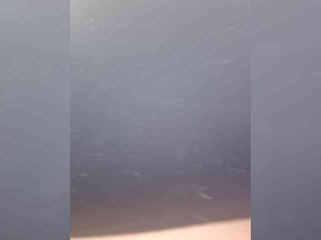 ZamaraSweet webcam
