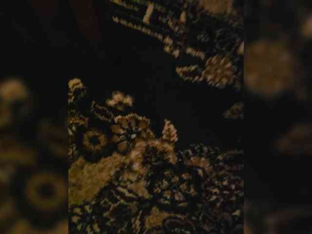 Limferd