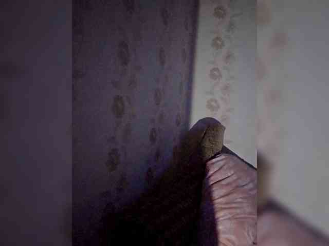 Limferd
