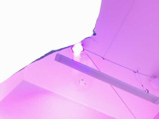 VeronicaCream
