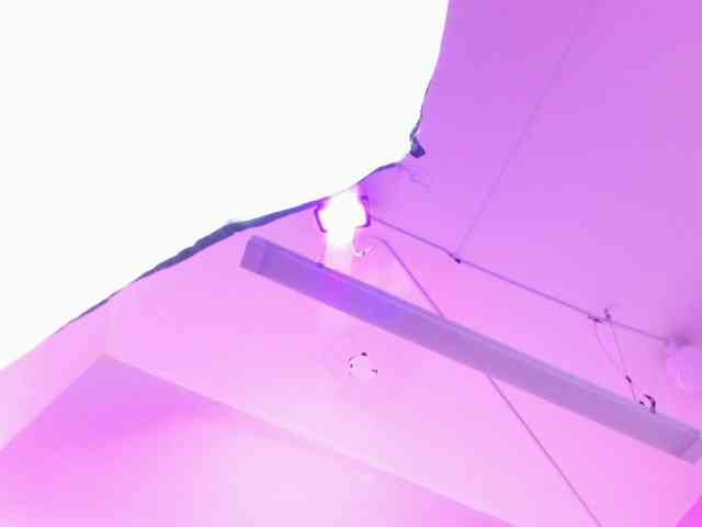 VeronicaCream webcam