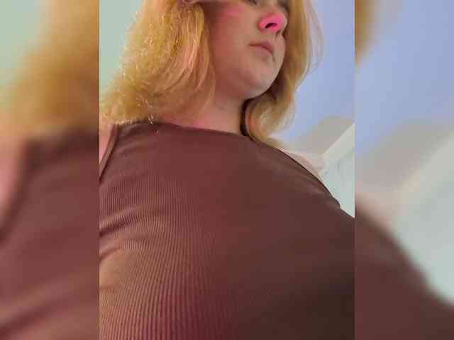 KisMyKat webcam