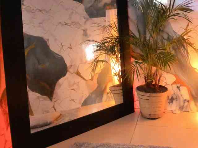 Adelaindiamond webcam