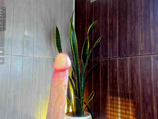 Adelaindiamond webcam