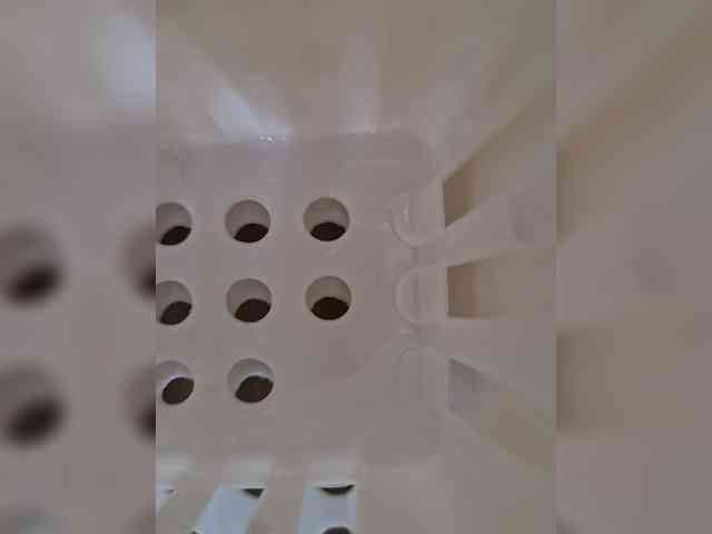 Para222a webcam