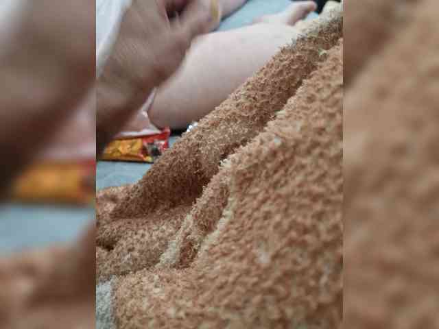 Para222a webcam