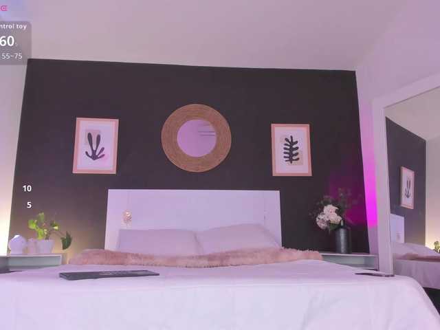 VioletPaket