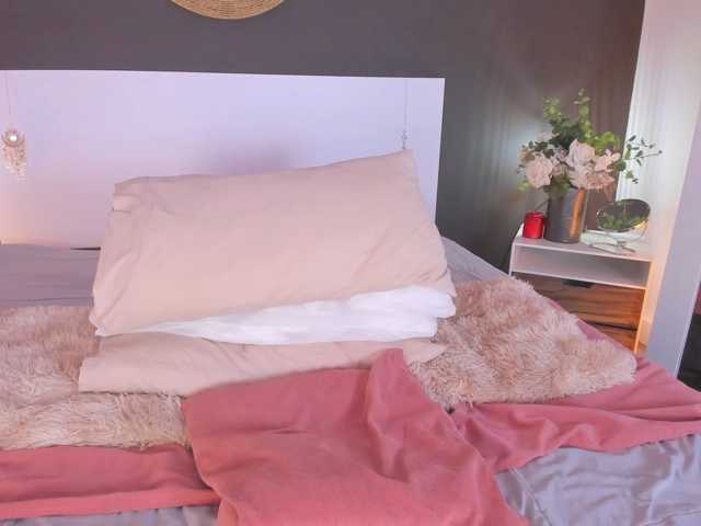 VioletPaket