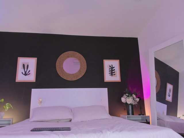 VioletPaket