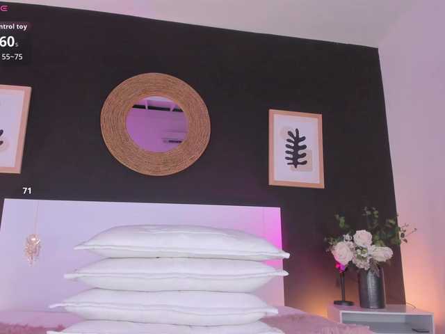 VioletPaket