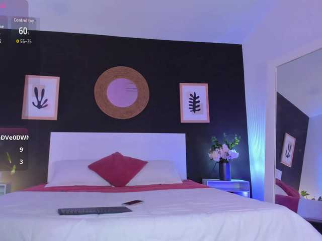 VioletPaket