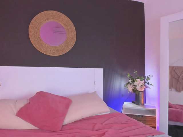 VioletPaket