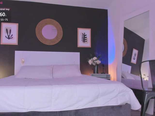VioletPaket