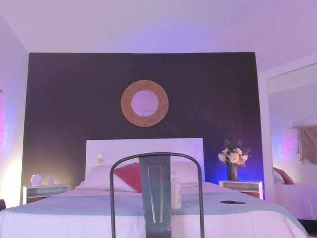 VioletPaket