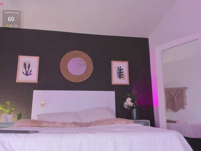 VioletPaket