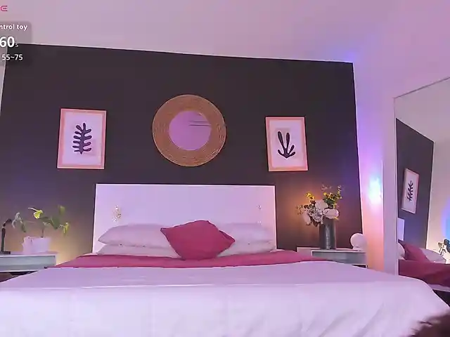VioletPaket