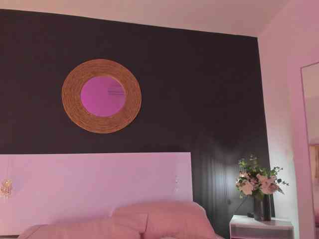 VioletPaket