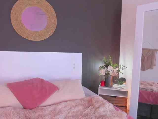 VioletPaket
