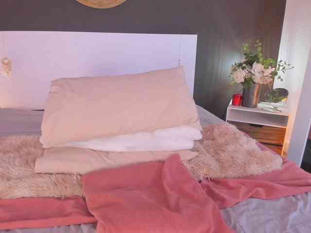 VioletPaket