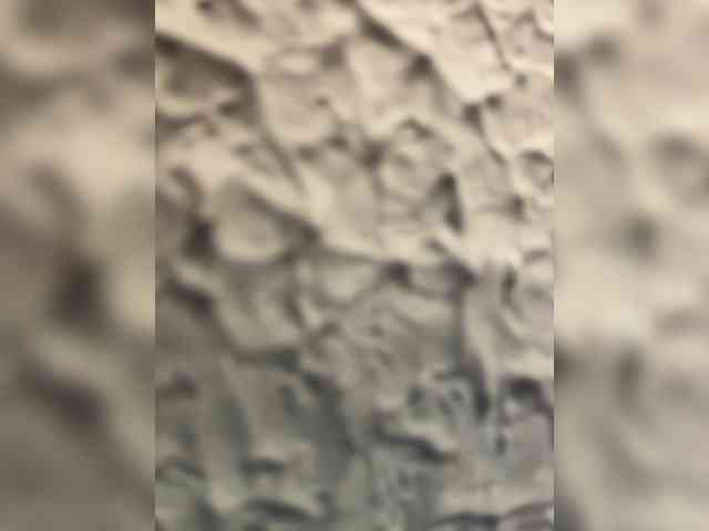 ThaliiaDuran webcam