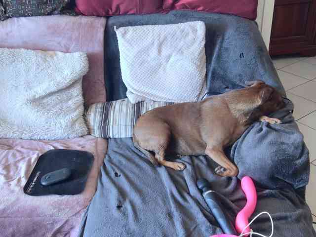FALBALA webcam